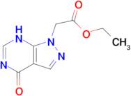 ethyl 2-{4-oxo-1H,4H,7H-pyrazolo[3,4-d]pyrimidin-1-yl}acetate