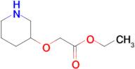 Ethyl 2-(piperidin-3-yloxy)acetate