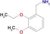 (2-Ethoxy-3-methoxyphenyl)methanamine