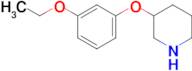 3-(3-Ethoxyphenoxy)piperidine