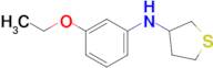 n-(3-Ethoxyphenyl)tetrahydrothiophen-3-amine