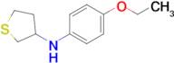 n-(4-Ethoxyphenyl)tetrahydrothiophen-3-amine