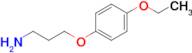 3-(4-Ethoxyphenoxy)propan-1-amine