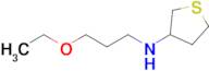 n-(3-Ethoxypropyl)tetrahydrothiophen-3-amine