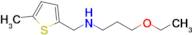 3-Ethoxy-N-((5-methylthiophen-2-yl)methyl)propan-1-amine