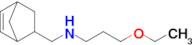 n-(Bicyclo[2.2.1]hept-5-en-2-ylmethyl)-3-ethoxypropan-1-amine