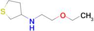 n-(2-Ethoxyethyl)tetrahydrothiophen-3-amine