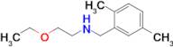 n-(2,5-Dimethylbenzyl)-2-ethoxyethan-1-amine