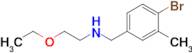 n-(4-Bromo-3-methylbenzyl)-2-ethoxyethan-1-amine