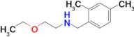 n-(2,4-Dimethylbenzyl)-2-ethoxyethan-1-amine