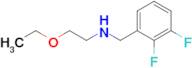 n-(2,3-Difluorobenzyl)-2-ethoxyethan-1-amine