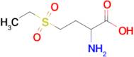 2-Amino-4-(ethylsulfonyl)butanoic acid