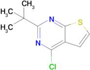 2-(Tert-butyl)-4-chlorothieno[2,3-d]pyrimidine