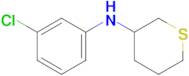 n-(3-Chlorophenyl)tetrahydro-2h-thiopyran-3-amine