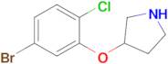 3-(5-Bromo-2-chlorophenoxy)pyrrolidine