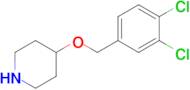 4-((3,4-Dichlorobenzyl)oxy)piperidine