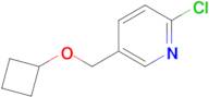 2-Chloro-5-(cyclobutoxymethyl)pyridine