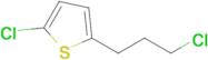 2-Chloro-5-(3-chloropropyl)thiophene