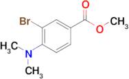 Methyl 3-bromo-4-(dimethylamino)benzoate