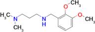 n1-(2,3-Dimethoxybenzyl)-n3,n3-dimethylpropane-1,3-diamine