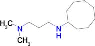 n1-Cyclooctyl-n3,n3-dimethylpropane-1,3-diamine