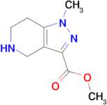 Methyl 1-methyl-4,5,6,7-tetrahydro-1h-pyrazolo[4,3-c]pyridine-3-carboxylate