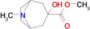 Methyl 3-hydroxy-8-methyl-8-azabicyclo[3.2.1]octane-3-carboxylate