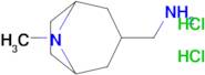 (8-Methyl-8-azabicyclo[3.2.1]octan-3-yl)methanamine dihydrochloride