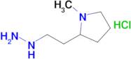 2-(2-Hydrazinylethyl)-1-methylpyrrolidine hydrochloride