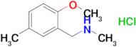 1-(2-Methoxy-5-methylphenyl)-N-methylmethanamine hydrochloride