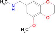 1-(8-Methoxy-2,3-dihydrobenzo[b][1,4]dioxin-6-yl)-N-methylmethanamine