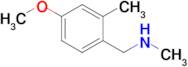 1-(4-Methoxy-2-methylphenyl)-N-methylmethanamine