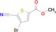 Methyl 4-bromo-5-cyanothiophene-2-carboxylate