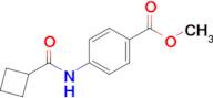 Methyl 4-(cyclobutanecarboxamido)benzoate