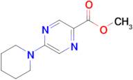 Methyl 5-(piperidin-1-yl)pyrazine-2-carboxylate