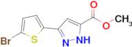 methyl 3-(5-bromothiophen-2-yl)-1H-pyrazole-5-carboxylate