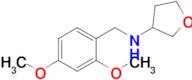 n-(2,4-Dimethoxybenzyl)tetrahydrofuran-3-amine