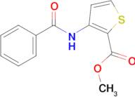 Methyl 3-benzamidothiophene-2-carboxylate