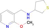 n-((2-Methoxypyridin-3-yl)methyl)tetrahydrothiophen-3-amine