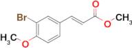 Methyl (E)-3-(3-bromo-4-methoxyphenyl)acrylate