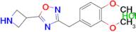 5-(Azetidin-3-yl)-3-(3,4-dimethoxybenzyl)-1,2,4-oxadiazole hydrochloride