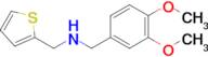 n-(3,4-Dimethoxybenzyl)-1-(thiophen-2-yl)methanamine