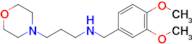 n-(3,4-Dimethoxybenzyl)-3-morpholinopropan-1-amine