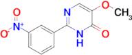 5-methoxy-2-(3-nitrophenyl)-3,4-dihydropyrimidin-4-one