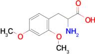 2-Amino-3-(2,4-dimethoxyphenyl)propanoic acid