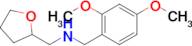 n-(2,4-Dimethoxybenzyl)-1-(tetrahydrofuran-2-yl)methanamine