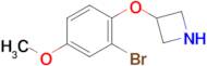 3-(2-Bromo-4-methoxyphenoxy)azetidine