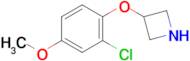 3-(2-Chloro-4-methoxyphenoxy)azetidine