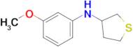 n-(3-Methoxyphenyl)tetrahydrothiophen-3-amine