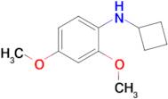 n-Cyclobutyl-2,4-dimethoxyaniline